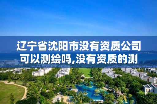 辽宁省沈阳市没有资质公司可以测绘吗,没有资质的测绘公司怎么开票