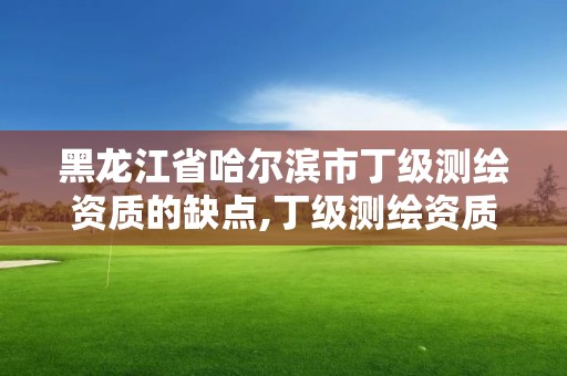 黑龙江省哈尔滨市丁级测绘资质的缺点,丁级测绘资质申请人员条件