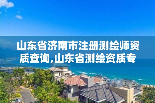 山东省济南市注册测绘师资质查询,山东省测绘资质专用章图片