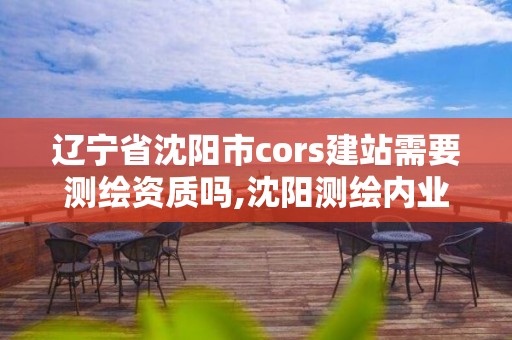 辽宁省沈阳市cors建站需要测绘资质吗,沈阳测绘内业招聘