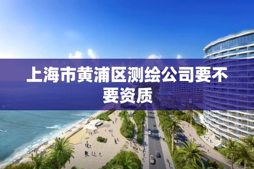 上海市黄浦区测绘公司要不要资质