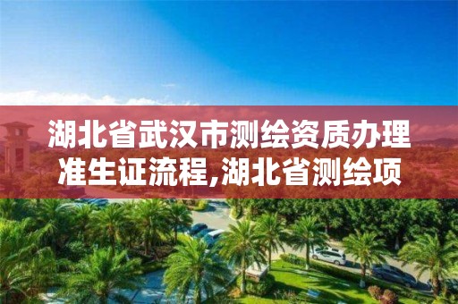 湖北省武汉市测绘资质办理准生证流程,湖北省测绘项目登记管理办法