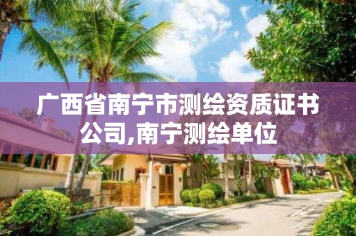 广西省南宁市测绘资质证书公司,南宁测绘单位