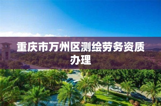 重庆市万州区测绘劳务资质办理