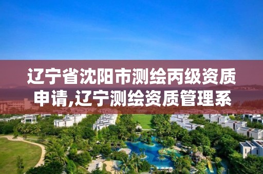 辽宁省沈阳市测绘丙级资质申请,辽宁测绘资质管理系统登录