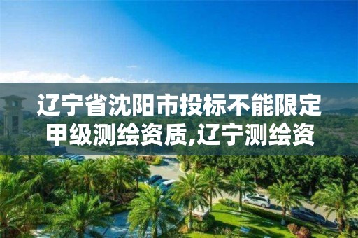 辽宁省沈阳市投标不能限定甲级测绘资质,辽宁测绘资质查询