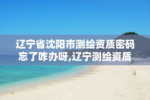 辽宁省沈阳市测绘资质密码忘了咋办呀,辽宁测绘资质查询