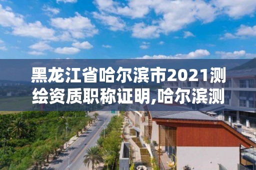 黑龙江省哈尔滨市2021测绘资质职称证明,哈尔滨测绘局是干什么的