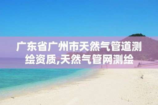 广东省广州市天然气管道测绘资质,天然气管网测绘