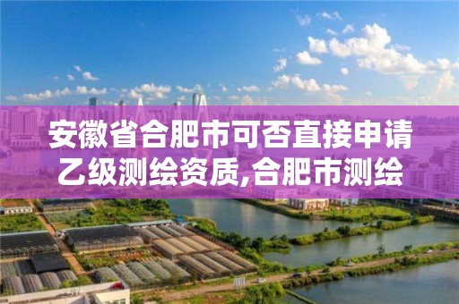 安徽省合肥市可否直接申请乙级测绘资质,合肥市测绘设计院。