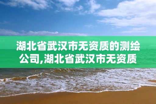 湖北省武汉市无资质的测绘公司,湖北省武汉市无资质的测绘公司名单