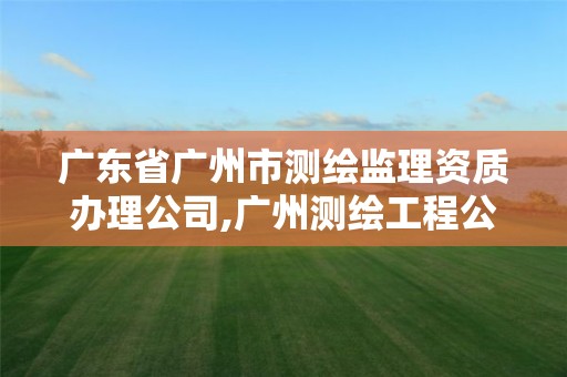 广东省广州市测绘监理资质办理公司,广州测绘工程公司