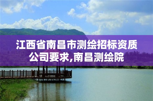 江西省南昌市测绘招标资质公司要求,南昌测绘院