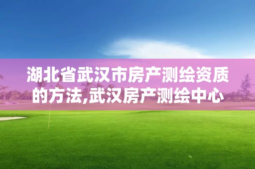 湖北省武汉市房产测绘资质的方法,武汉房产测绘中心主要做什么