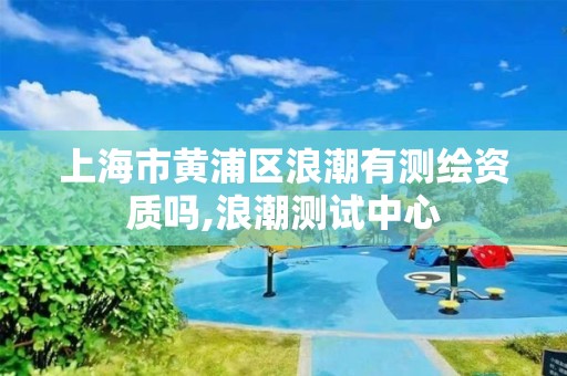 上海市黄浦区浪潮有测绘资质吗,浪潮测试中心