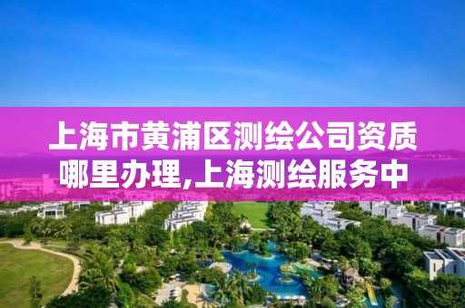 上海市黄浦区测绘公司资质哪里办理,上海测绘服务中心