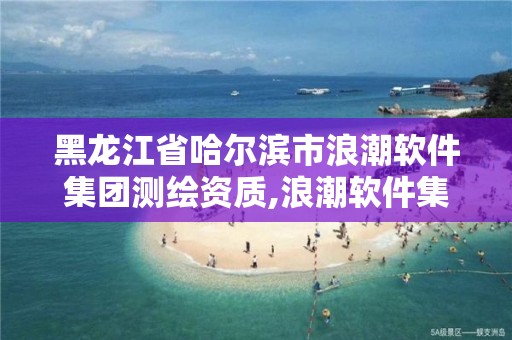 黑龙江省哈尔滨市浪潮软件集团测绘资质,浪潮软件集团有限公司软件评测实验室