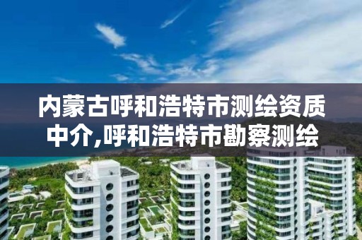 内蒙古呼和浩特市测绘资质中介,呼和浩特市勘察测绘研究院电话