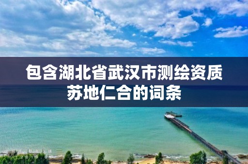 包含湖北省武汉市测绘资质苏地仁合的词条