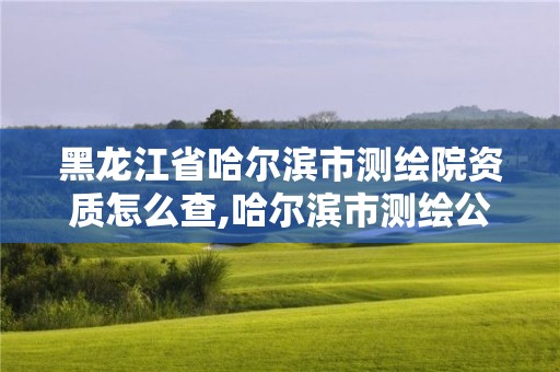 黑龙江省哈尔滨市测绘院资质怎么查,哈尔滨市测绘公司