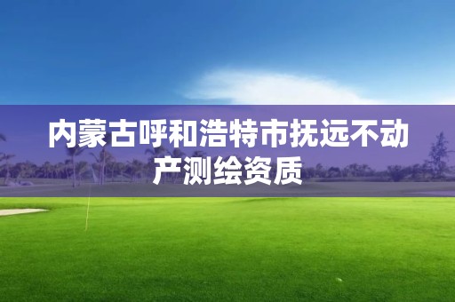 内蒙古呼和浩特市抚远不动产测绘资质