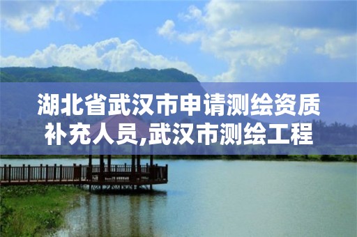 湖北省武汉市申请测绘资质补充人员,武汉市测绘工程技术规定