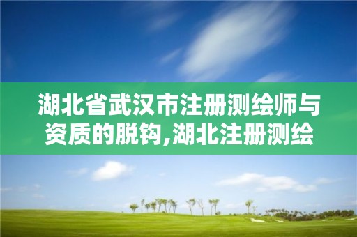 湖北省武汉市注册测绘师与资质的脱钩,湖北注册测绘师报名。