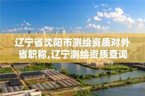 辽宁省沈阳市测绘资质对外省职称,辽宁测绘资质查询