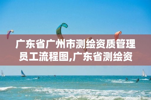 广东省广州市测绘资质管理员工流程图,广东省测绘资质管理系统。