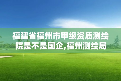 福建省福州市甲级资质测绘院是不是国企,福州测绘局。