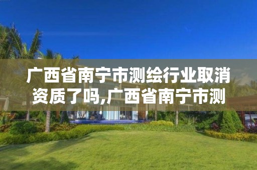 广西省南宁市测绘行业取消资质了吗,广西省南宁市测绘行业取消资质了吗最新消息