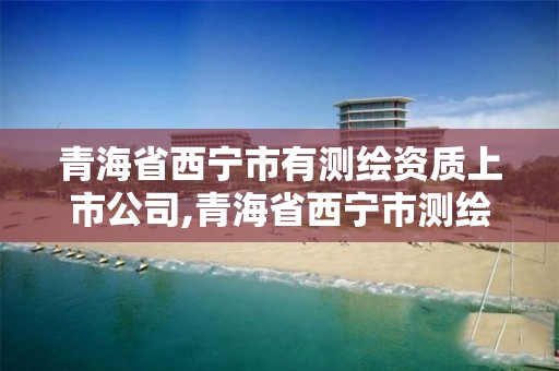 青海省西宁市有测绘资质上市公司,青海省西宁市测绘院。