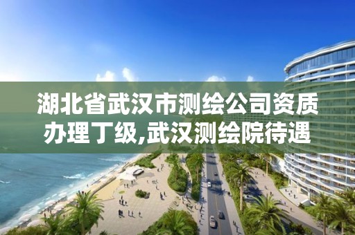 湖北省武汉市测绘公司资质办理丁级,武汉测绘院待遇