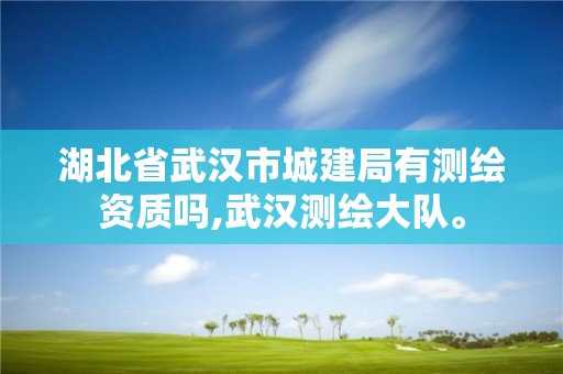 湖北省武汉市城建局有测绘资质吗,武汉测绘大队。