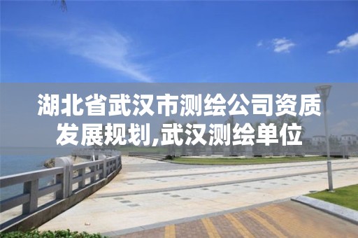 湖北省武汉市测绘公司资质发展规划,武汉测绘单位