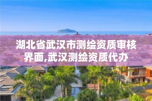 湖北省武汉市测绘资质审核界面,武汉测绘资质代办