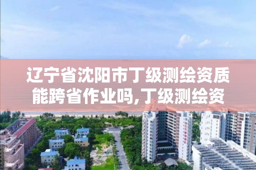 辽宁省沈阳市丁级测绘资质能跨省作业吗,丁级测绘资质要求。