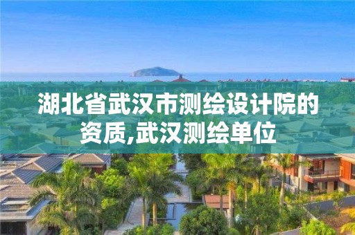 湖北省武汉市测绘设计院的资质,武汉测绘单位