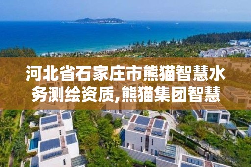 河北省石家庄市熊猫智慧水务测绘资质,熊猫集团智慧水务系统