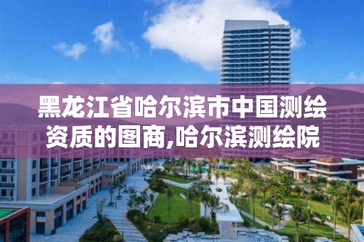 黑龙江省哈尔滨市中国测绘资质的图商,哈尔滨测绘院地址