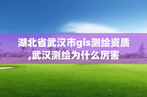 湖北省武汉市gis测绘资质,武汉测绘为什么厉害