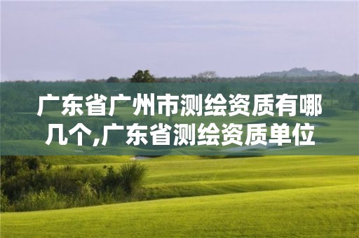 广东省广州市测绘资质有哪几个,广东省测绘资质单位名单