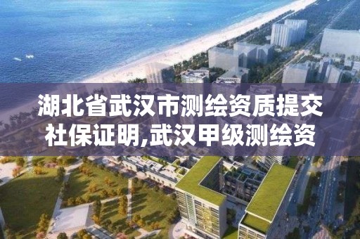 湖北省武汉市测绘资质提交社保证明,武汉甲级测绘资质名录。