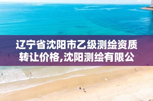 辽宁省沈阳市乙级测绘资质转让价格,沈阳测绘有限公司。