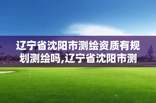 辽宁省沈阳市测绘资质有规划测绘吗,辽宁省沈阳市测绘资质有规划测绘吗多少钱