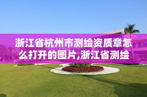 浙江省杭州市测绘资质章怎么打开的图片,浙江省测绘资质管理实施细则。