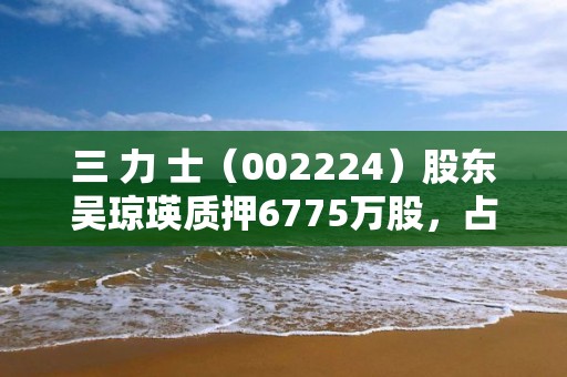 三 力 士（002224）股东吴琼瑛质押6775万股，占总股本9.29%