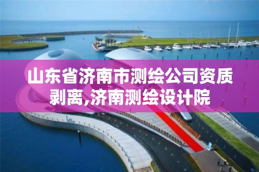 山东省济南市测绘公司资质剥离,济南测绘设计院