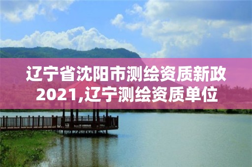 辽宁省沈阳市测绘资质新政2021,辽宁测绘资质单位