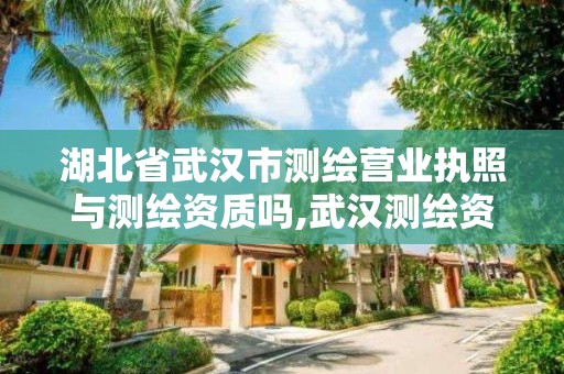 湖北省武汉市测绘营业执照与测绘资质吗,武汉测绘资质代办